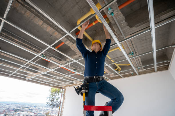 Best Residential Plumbing Services  in Nisswa, MN