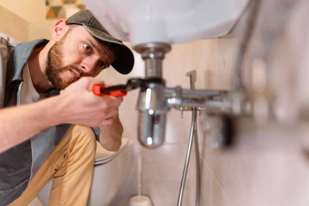 Best Local Plumber Services  in Nisswa, MN